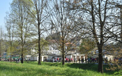 Tradicionalni, 28. Jurjev pohod