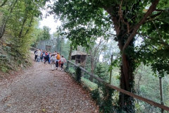 Živalski vrt Tierwelt Herberstein