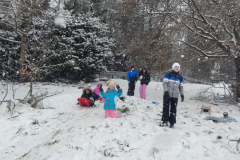 viber_image_2026-01-06_16-45-58-996