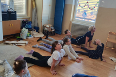 viber_image_2026-01-06_16-46-55-443